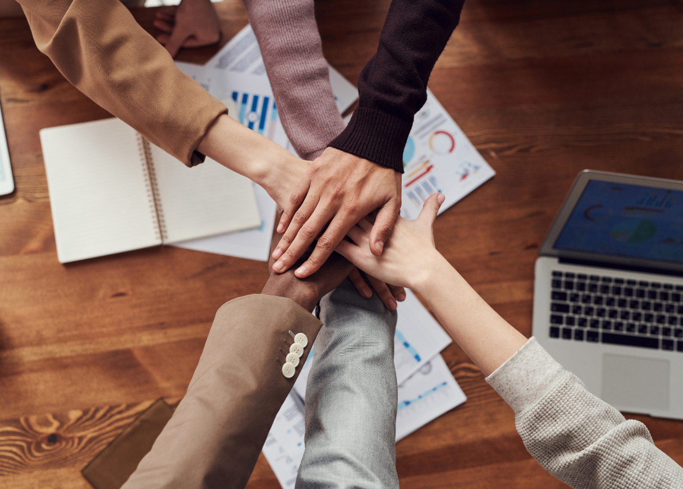 Hive Support Business